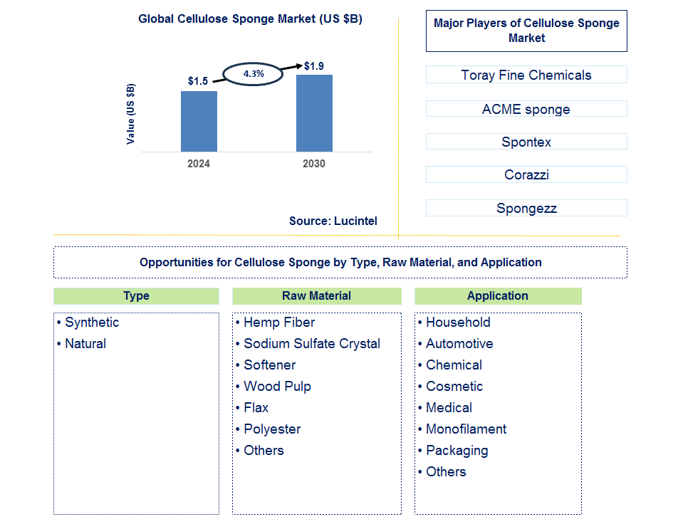 Cellulose Sponge Trends and Forecast